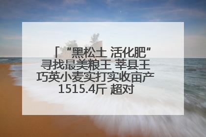 “黑松土 活化肥”寻找最美粮王 莘县王巧英小麦实打实收亩产1515.4斤 超对照田144斤！