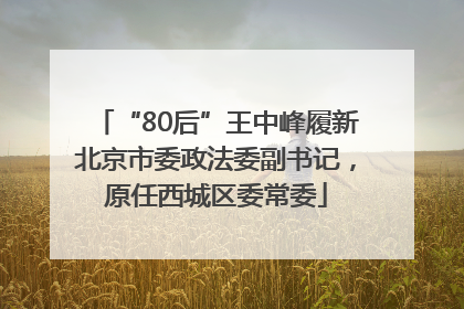 “80后”王中峰履新北京市委政法委副书记，原任西城区委常委
