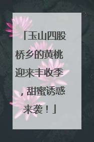 玉山四股桥乡的黄桃迎来丰收季，甜蜜诱惑来袭！