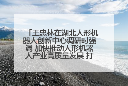 王忠林在湖北人形机器人创新中心调研时强调 加快推动人形机器人产业高质量发展 打造具有全国影响力的研发创新基地