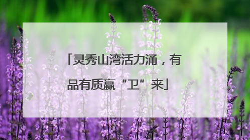 灵秀山湾活力涌，有品有质赢“卫”来