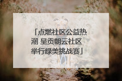 点燃社区公益热潮 呈贡朝云社区举行绿美挑战赛