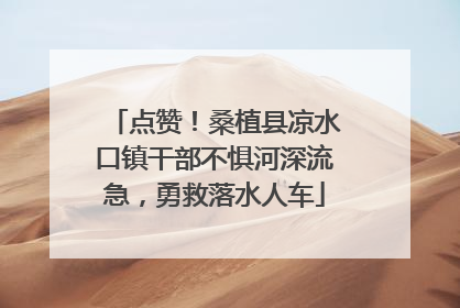 点赞！桑植县凉水口镇干部不惧河深流急，勇救落水人车