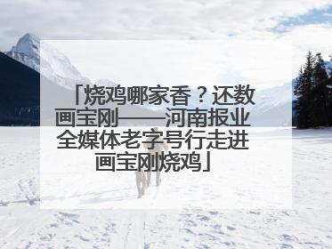 烧鸡哪家香？还数画宝刚——河南报业全媒体老字号行走进画宝刚烧鸡