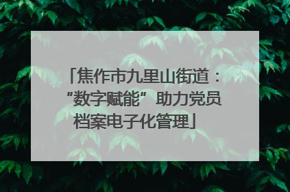焦作市九里山街道：“数字赋能”助力党员档案电子化管理
