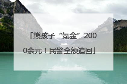熊孩子“氪金”2000余元！民警全额追回