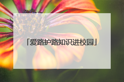 爱路护路知识进校园