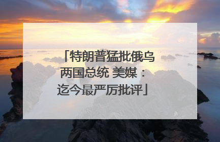 特朗普猛批俄乌两国总统 美媒：迄今最严厉批评