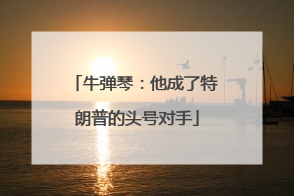 牛弹琴：他成了特朗普的头号对手