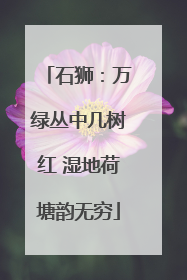 石狮：万绿丛中几树红 湿地荷塘韵无穷