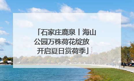 石家庄鹿泉丨海山公园万株荷花绽放 开启夏日赏荷季