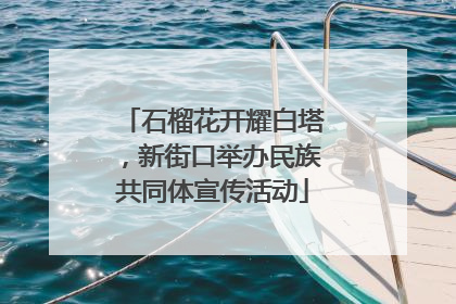 石榴花开耀白塔，新街口举办民族共同体宣传活动