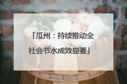 瓜州：持续推动全社会节水成效显著