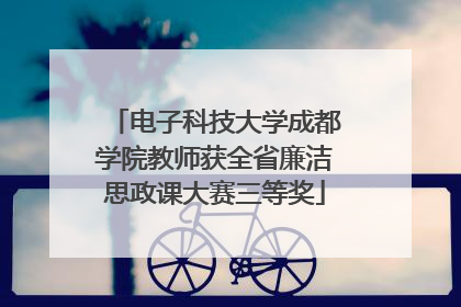 电子科技大学成都学院教师获全省廉洁思政课大赛三等奖