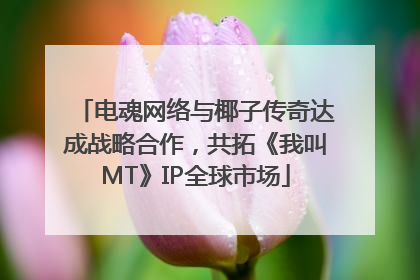 电魂网络与椰子传奇达成战略合作，共拓《我叫MT》IP全球市场
