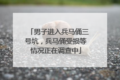 男子进入兵马俑三号坑，兵马俑受损等情况正在调查中