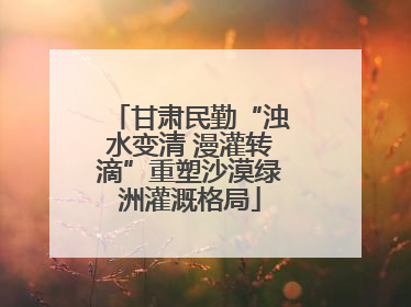 甘肃民勤“浊水变清 漫灌转滴”重塑沙漠绿洲灌溉格局