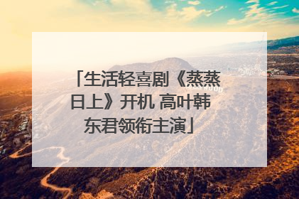 生活轻喜剧《蒸蒸日上》开机 高叶韩东君领衔主演