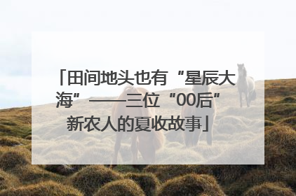 田间地头也有“星辰大海”——三位“00后”新农人的夏收故事