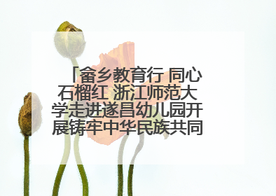畲乡教育行 同心石榴红 浙江师范大学走进遂昌幼儿园开展铸牢中华民族共同体意识教育