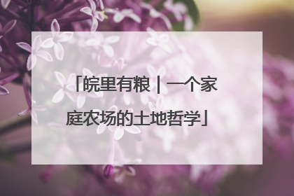 皖里有粮｜一个家庭农场的土地哲学