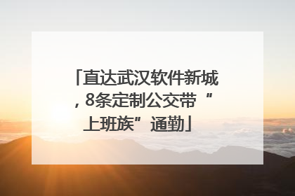 直达武汉软件新城，8条定制公交带“上班族”通勤