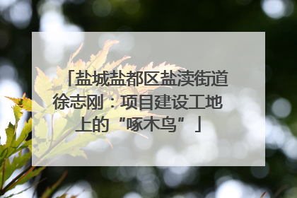 盐城盐都区盐渎街道徐志刚：项目建设工地上的“啄木鸟”