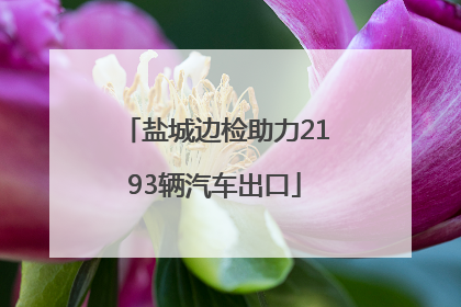 盐城边检助力2193辆汽车出口