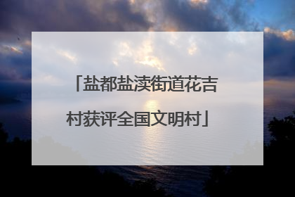 盐都盐渎街道花吉村获评全国文明村