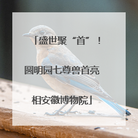 盛世聚“首”！圆明园七尊兽首亮相安徽博物院