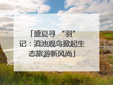 盛夏寻 “羽” 记：滇池观鸟掀起生态旅游新风尚