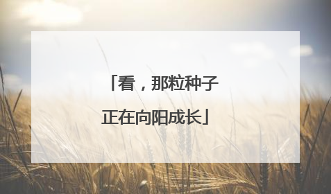 看，那粒种子正在向阳成长