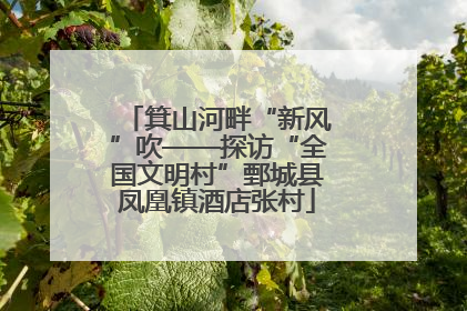箕山河畔“新风”吹——探访“全国文明村”鄄城县凤凰镇酒店张村