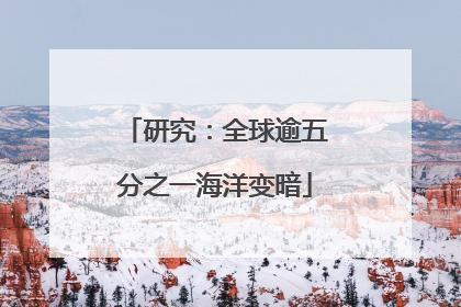 研究：全球逾五分之一海洋变暗