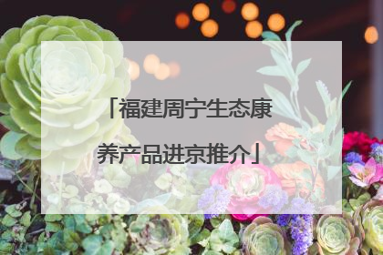 福建周宁生态康养产品进京推介