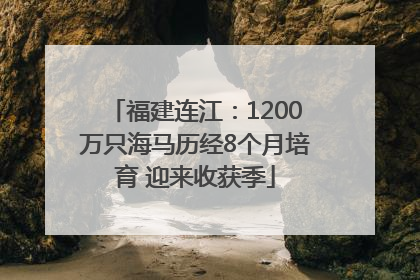 福建连江：1200万只海马历经8个月培育 迎来收获季