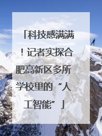 科技感满满！记者实探合肥高新区多所学校里的“人工智能”