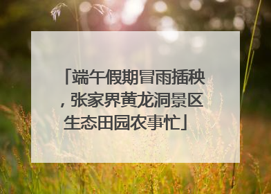 端午假期冒雨插秧，张家界黄龙洞景区生态田园农事忙