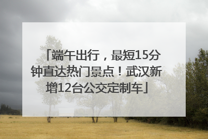 端午出行，最短15分钟直达热门景点！武汉新增12台公交定制车