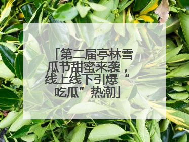 第二届亭林雪瓜节甜蜜来袭，线上线下引爆“吃瓜”热潮