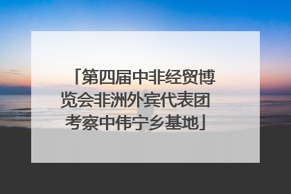 第四届中非经贸博览会非洲外宾代表团考察中伟宁乡基地