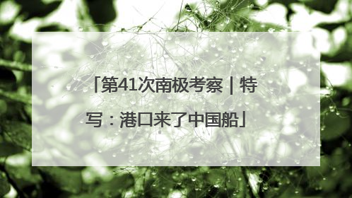 第41次南极考察｜特写：港口来了中国船