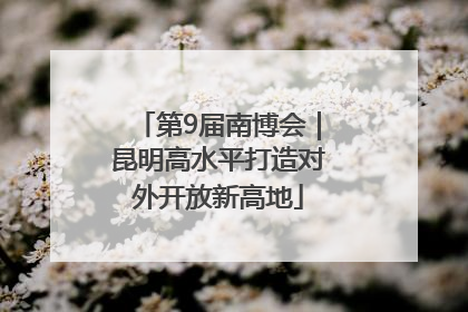 第9届南博会｜昆明高水平打造对外开放新高地