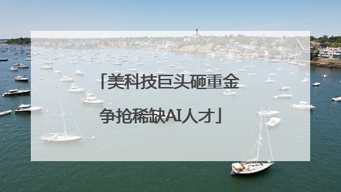 美科技巨头砸重金争抢稀缺AI人才