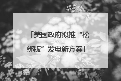 美国政府拟推“松绑版”发电新方案