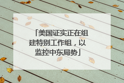 美国证实正在组建特别工作组，以监控中东局势