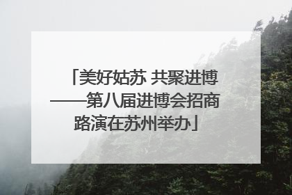 美好姑苏 共聚进博——第八届进博会招商路演在苏州举办