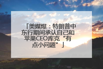 美媒爆：特朗普中东行期间承认自己和苹果CEO库克“有点小问题”