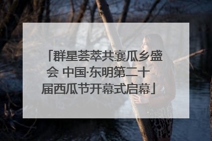 群星荟萃共襄瓜乡盛会 中国·东明第二十届西瓜节开幕式启幕