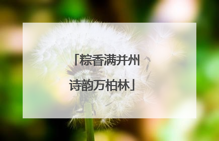 粽香满并州 诗韵万柏林